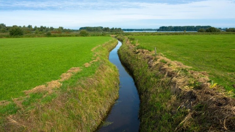 Waterkwaliteit van sloten en vennen is nog niet best