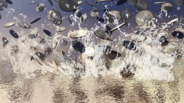 Denkfouten die ons geld kosten