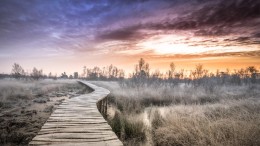 De Peel is te redden van de verdroging