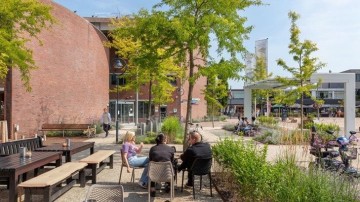 Samen werken aan een groene, klimaatbestendige, gezonde en biodiverse stad