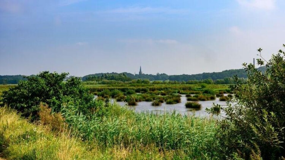 Natuur bij Ossendrecht
