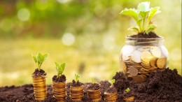 Gemeenten verwachten dit jaar meer opbrengsten uit heffingen