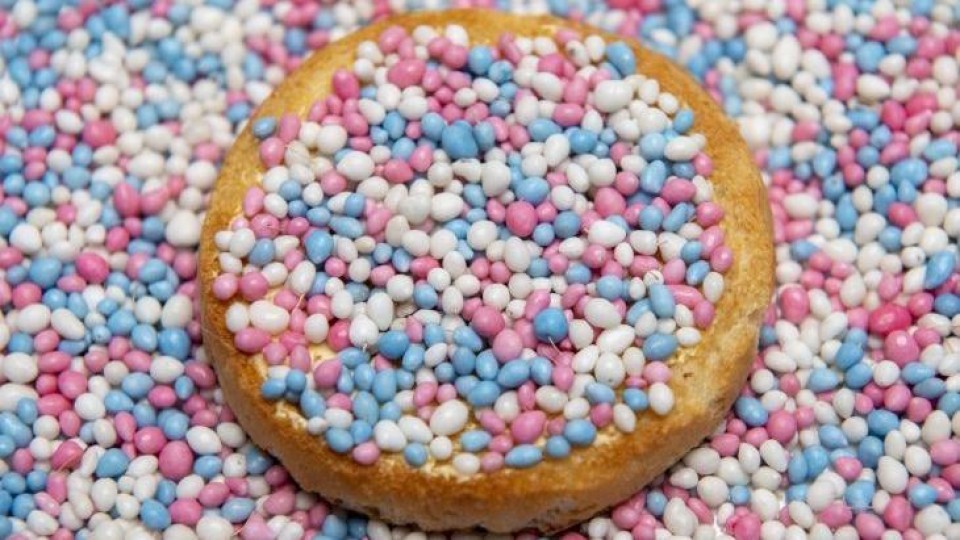 Beschuit met muisjes - sexe neutraal