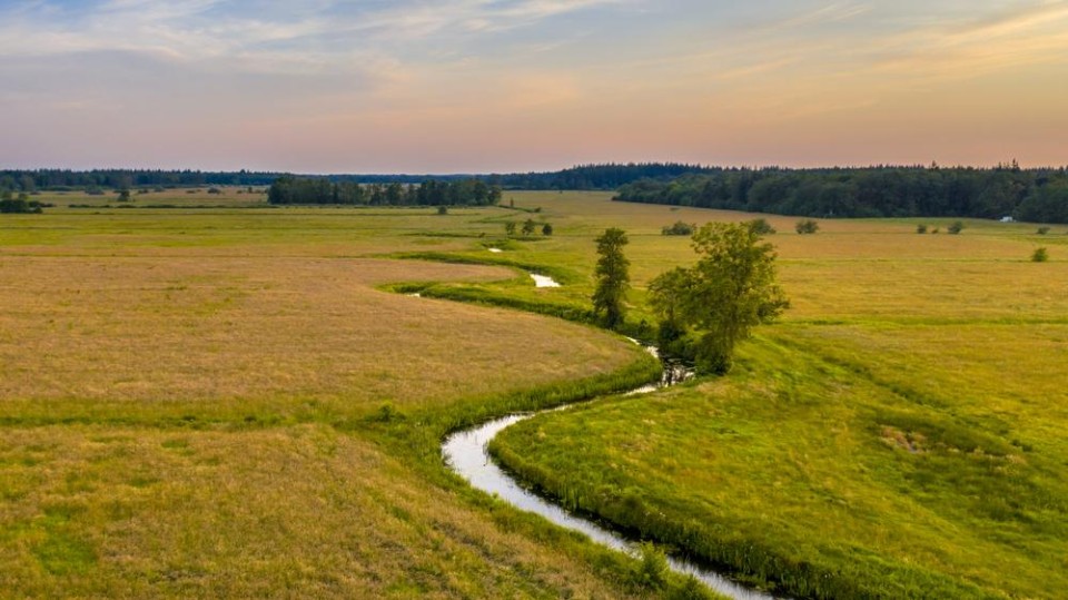 Koningsdiep natuurgebied
