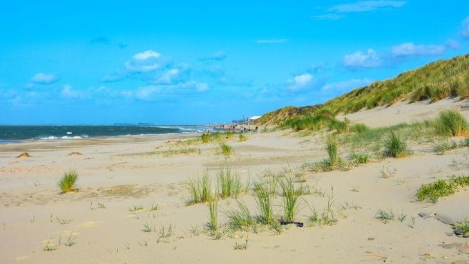 Kust bij Schowen-Duiveland