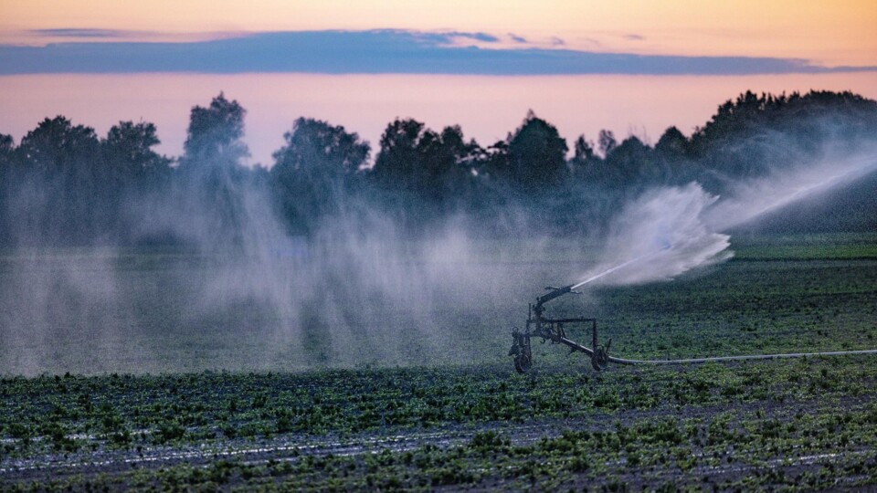 Besproeiingsinstallatie die water sproeit over een landbouwveld bij zonsondergang met bomen op de achtergrond.