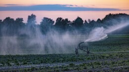 ‘Unieke’ maatregelen Delfland: alle sluizen dicht en sproeiverbod