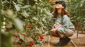 Amsterdamse horeca helpt biodiversiteit