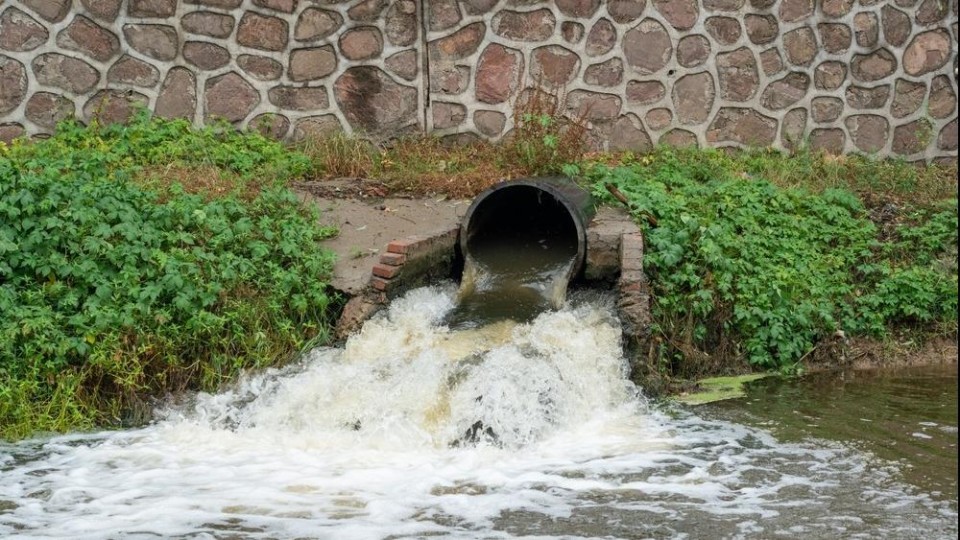 Vies water