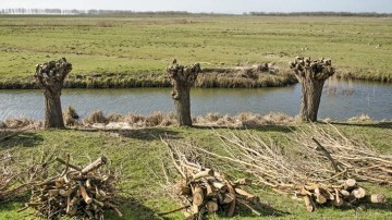 Biobased oeverbescherming