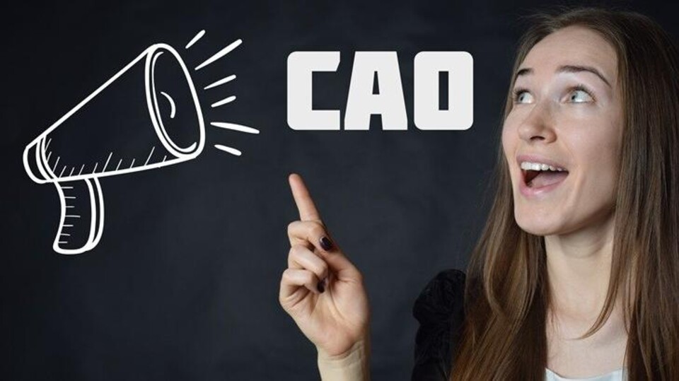 cao rijk