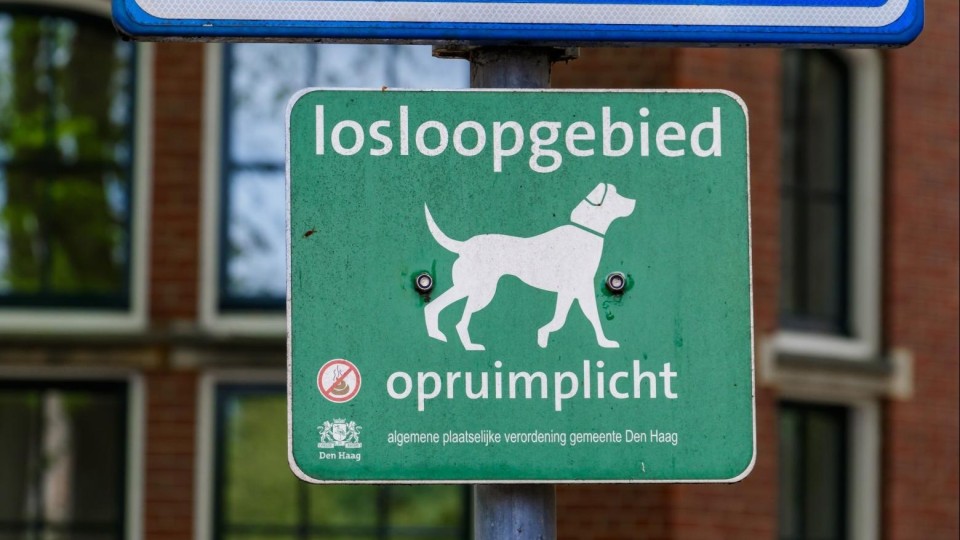 ANP losloopgebied honden