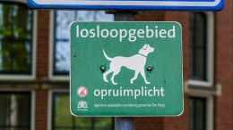 Opbrengst hondenbelasting in zeven jaar gehalveerd