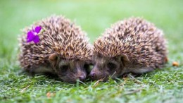 Samen verder na het nulpunt