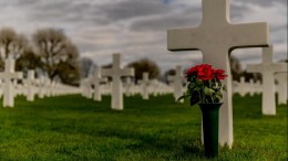 Limburg wil panelen over zwarte bevrijders terug