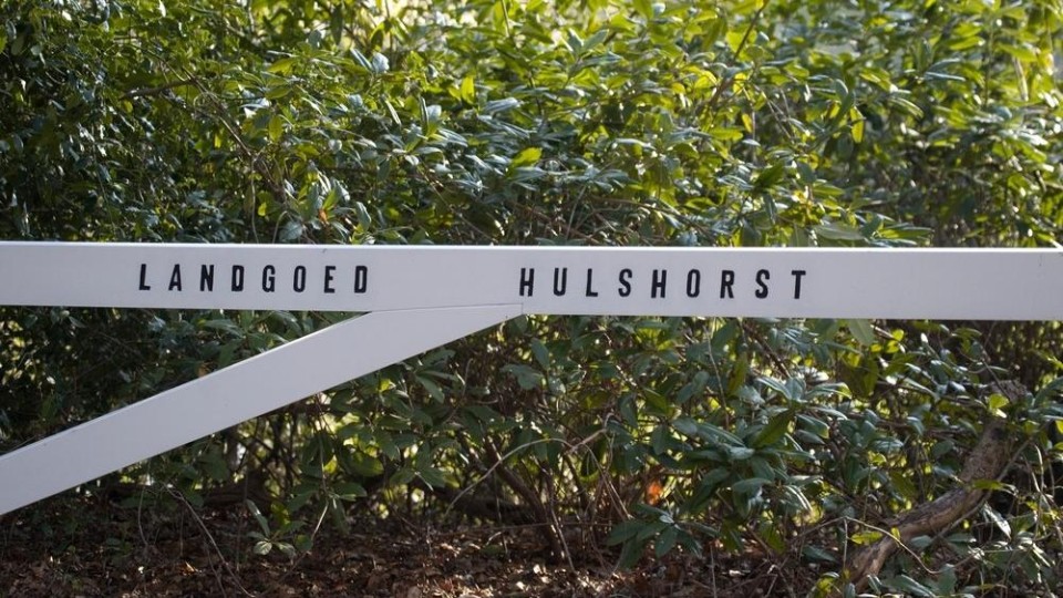 Hek bij Landgoed Hulshorst