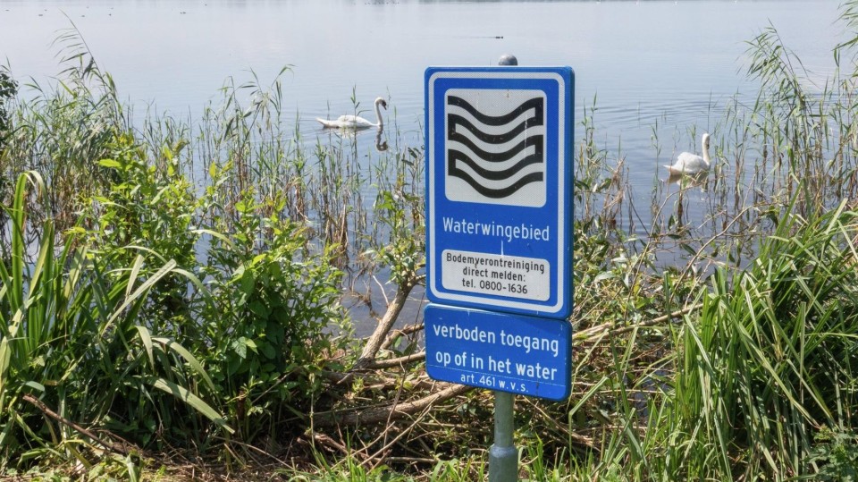 Waterwingebied bij de Loosdrechtse Plassen