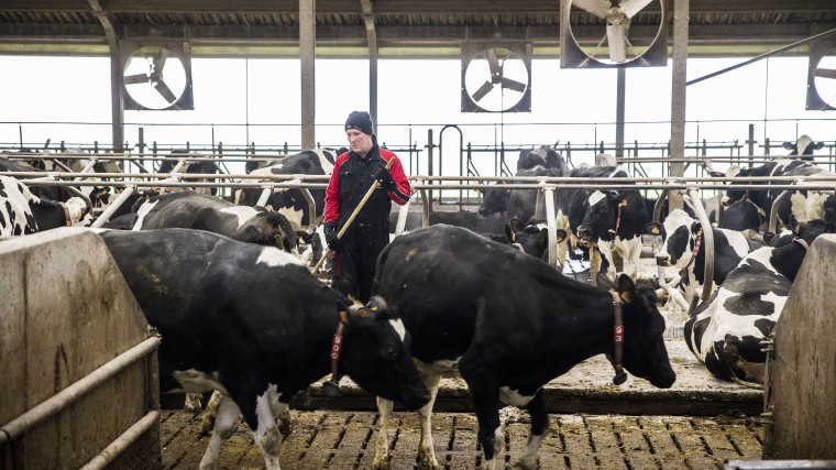 Vlaamse nieuwe stikstofwet is waarschijnlijk wankel