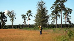 Stikstofkritiek links en rechts over ‘onduidelijk’ transitiefonds