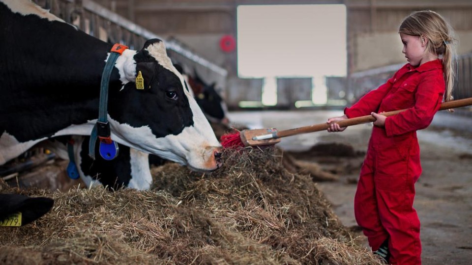 Meisje helpt boer