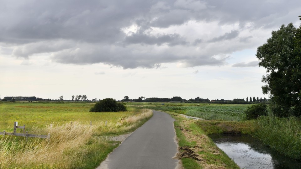In natuurgebied de Vierde Bergboezem is ruimte voor het overtollige water in Breda.