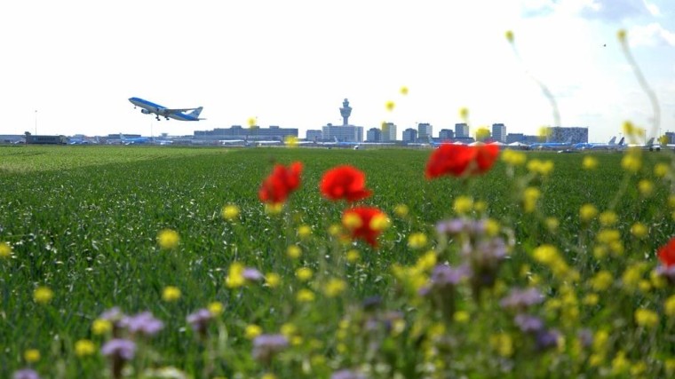 Innovatief vergroenen rondom Schiphol