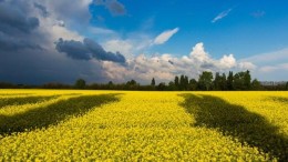 Scherpe daling economisch vertrouwen ondernemers