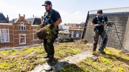 Groen puntensysteem per wijk helpt