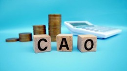 Nieuwe Cao Gemeenten en Cao SGO 2024