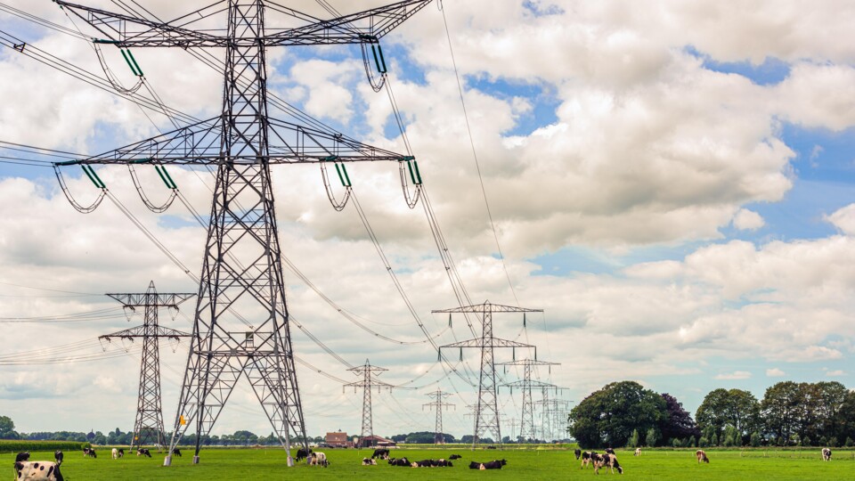 Hoogspanningsmasten in een weiland