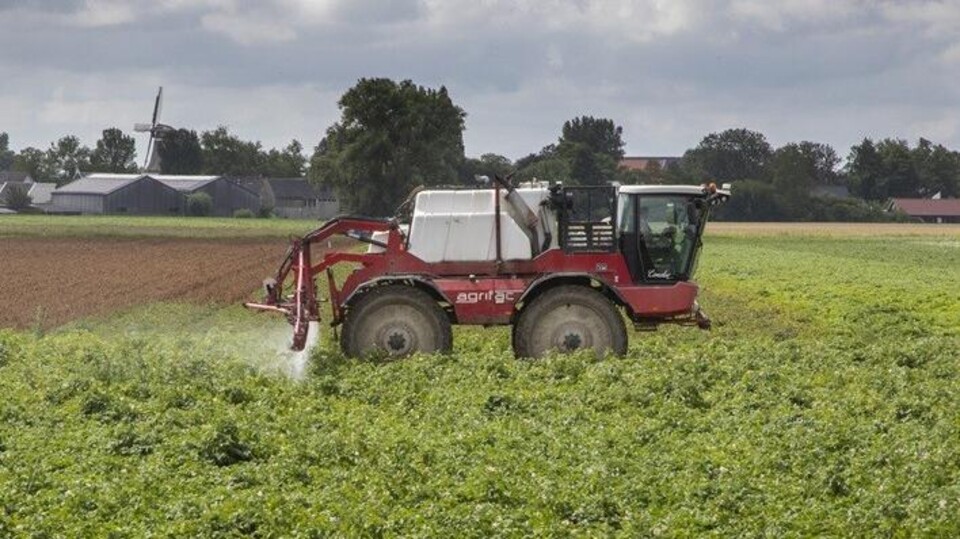 In het Friese Anjum wordt een aardappelakker bespoten.