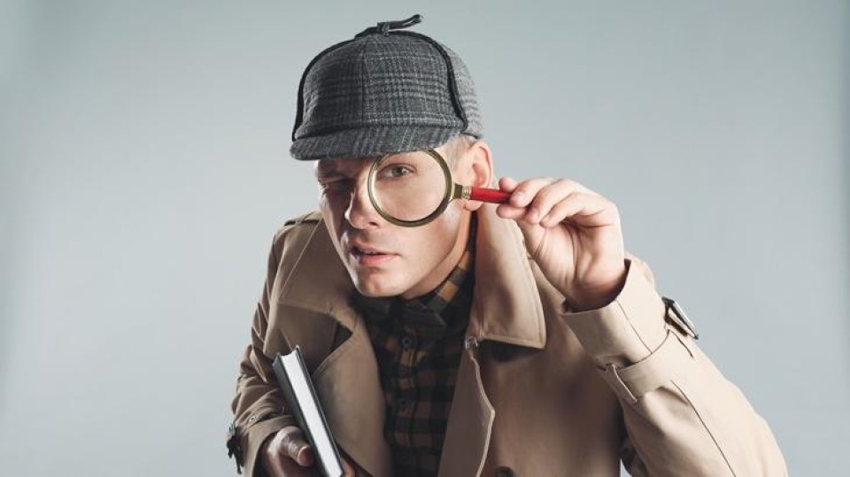 Noctua sherlock holmes