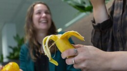 Ambtenaar neemt liever geen risico op het werk