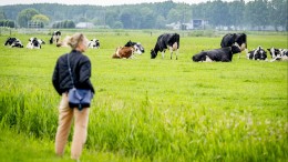 Provincies vrezen dat ze PAS-melders niet kunnen helpen