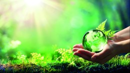 Vooral stad is donkergroen