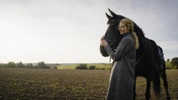 1 pk vs. 200 pk: waarom telt een paard als vermogen en een auto niet?