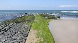 Ook bij grote zeespiegelstijging is bescherming Nederland mogelijk