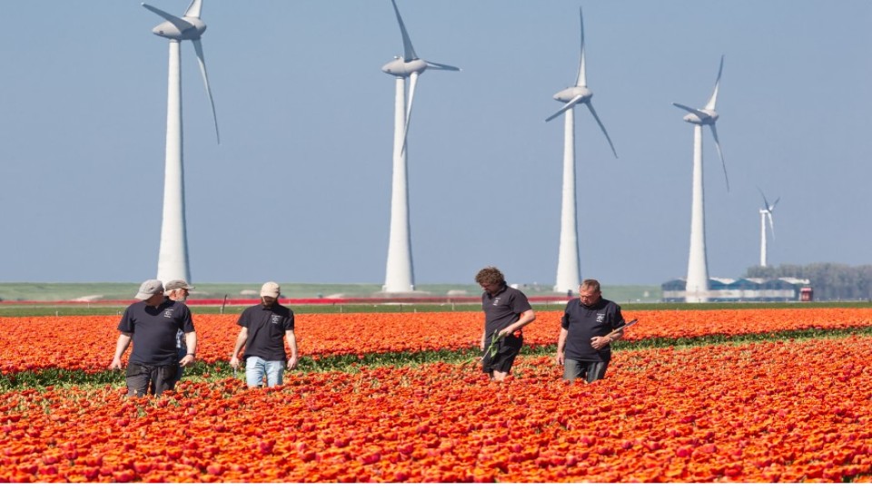 migrant-arbeidsmigrant-Polen1.1.jpg