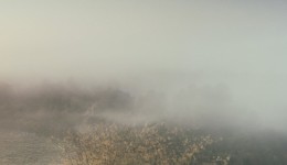 Hoe ‘regel’ je biodiversiteit?