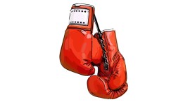 VNG polst gemeenten over opstelling richting kabinet