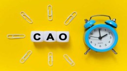 De hamvraag bij cao rijk: koopkrachtbehoud of niet?