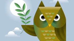 Verduurzamen in het onderwijs?