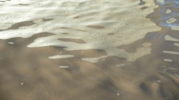 Ecologische Autoriteit: wateraanpak niet concreet