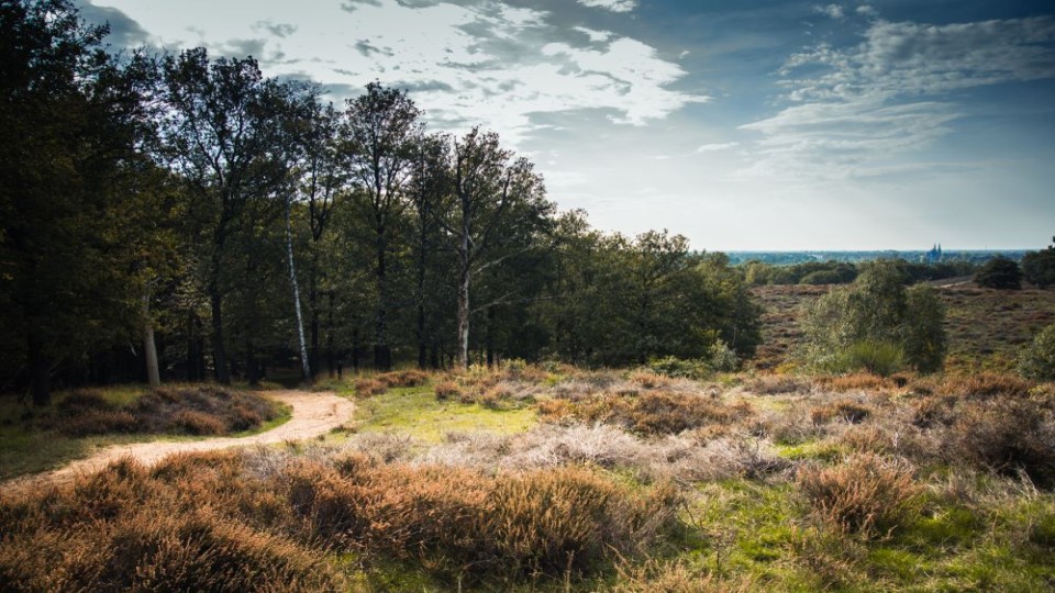 De Mookerheide wordt mogelijk onderdeel van een Nationaal Park.