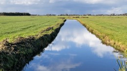 Inzicht in nutriëntenbalans verbetert waterkwaliteit landelijk gebied