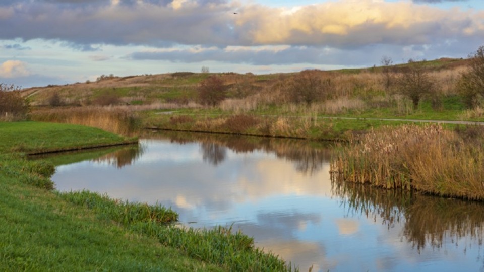 Buytenpark Zoetermeer