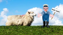 Nedersaksisch en Limburgs op school niet afdwingbaar