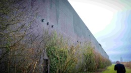 Vleermuizen tussen de computerservers