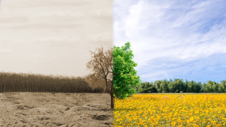 De bedreigde natuur krijgt wel/niet een kans op herstel