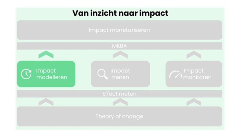 van inzicht naar impact